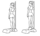 Exercice renforcement musculaire